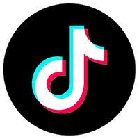 Braid it Yourself TikTok