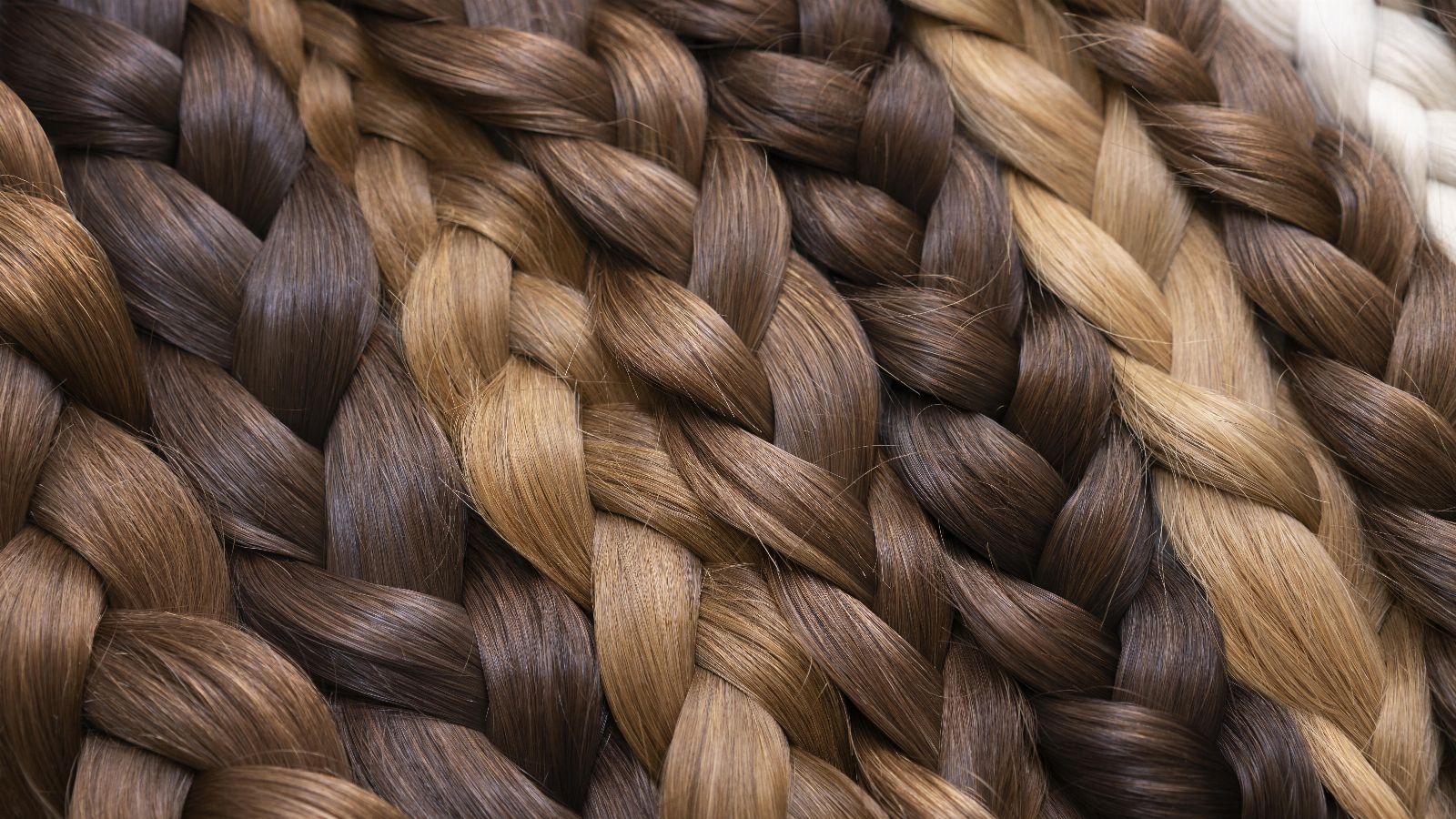 How to Choose the Right Braid Size for Each Client